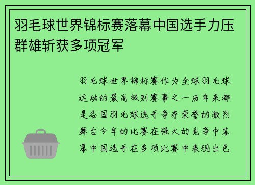 羽毛球世界锦标赛落幕中国选手力压群雄斩获多项冠军