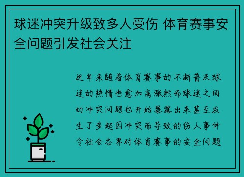 球迷冲突升级致多人受伤 体育赛事安全问题引发社会关注